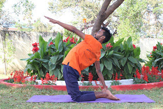 अर्द्ध उष्ट्रासन, Half Camel Pose