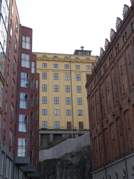 _DSC0121sq