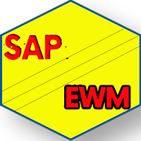 Learn SAP EWM