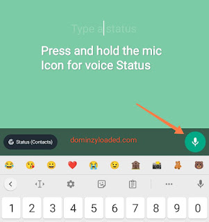 WhatsApp voice status update mic icon