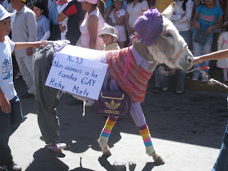 Funny Donkey Dressed Up