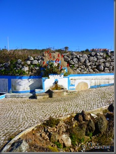 P1130605