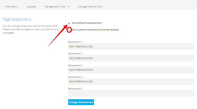 mengatasi freenom DNS, zone is not active yet