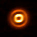 Protoplanetary Disk HD 169142