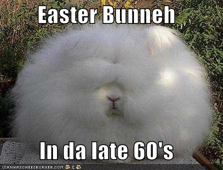 funny bunny. easter unny cartoon funny.