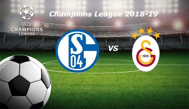 Live Streaming, Full Match Replay And Highlights Football Videos:  Schalke 04 vs Galatasaray