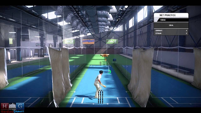 Download Don Bradman Cricket 14 Free Online play