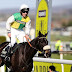 Complete list 2016 Grand National horses and runners And More.