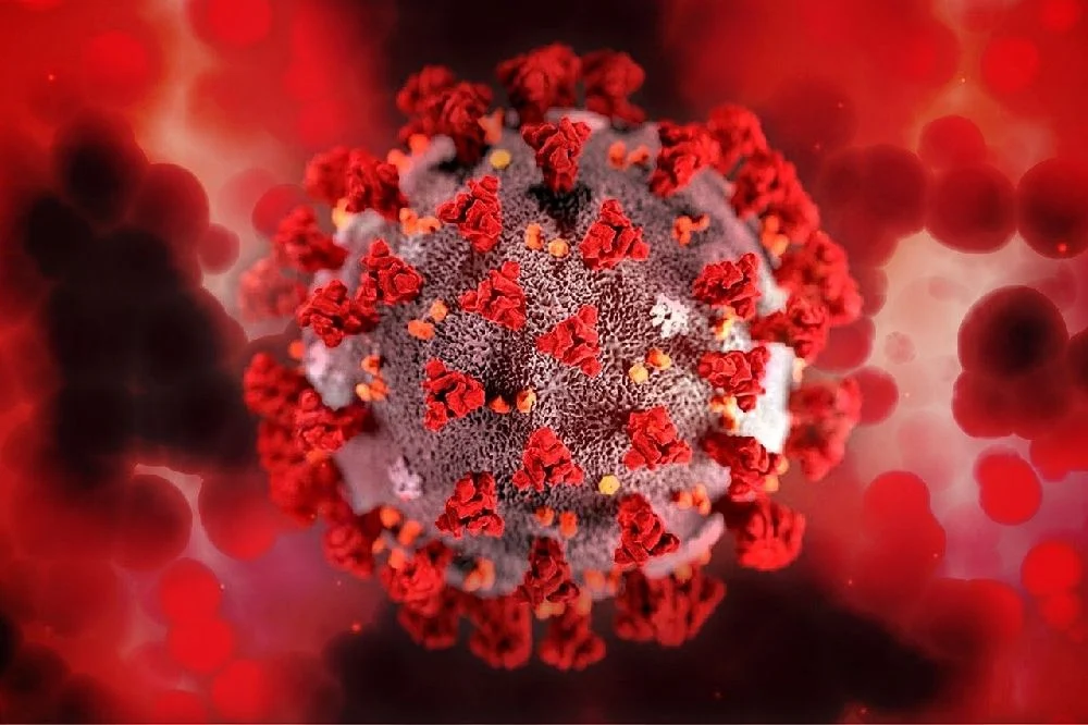 Imagen del virus SARS-CoV-2, o virus del Coronavirus , COVID-19