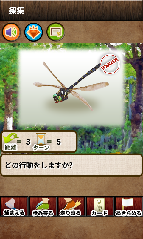 Saipress ぼくの昆虫王国 Androidアプリ をリリースしました