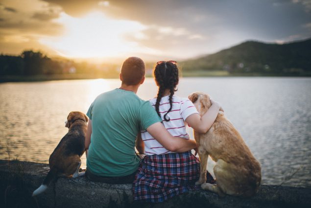 Parents With New Babies and Pet Ownership