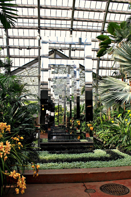 The tropical palm room of the Garfield Park Conservatory in Chicago.