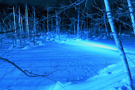 北海道 美瑛 青い池 ライトアップ パワースポット