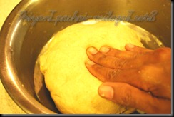 roti8_wm