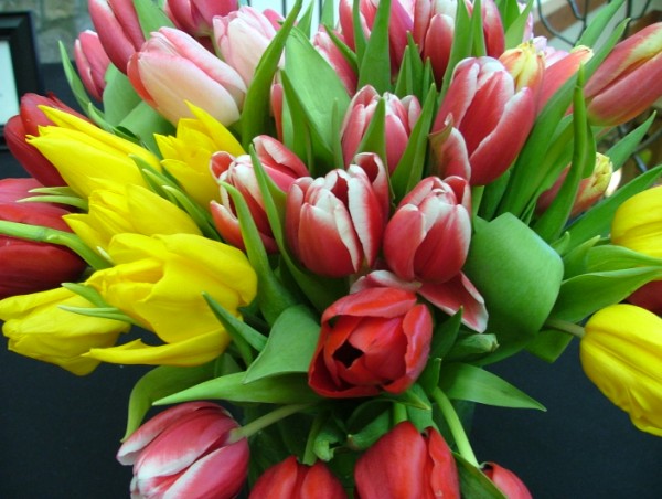 photos credit Bill Schodowski of Delaware Valley Wholesale Flowers