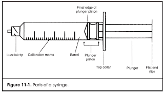 Parts of Syringe