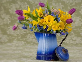 Spring nature beautiful flowers desktop wallpaper