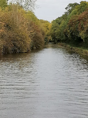 DAY-12_20221019_treesover-canal.jpg