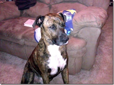 Zeus