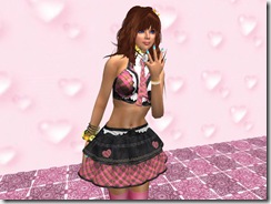 Tvd_20090513b_007