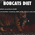 Bobcat - Bobcats Diet