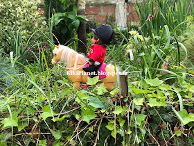 kiki monchhichi écuyer équitation silky terrier toys life cheval barbie