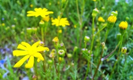 20120301_102526small