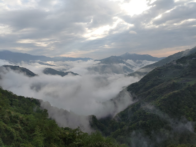 拉拉山國家森林遊樂區 - 雲海