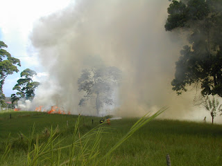 Fire, La Ceiba, Honduras