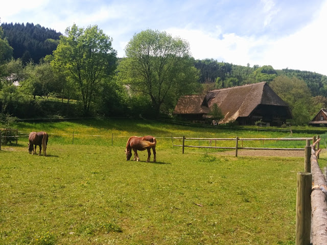 Black Forest Open Air Museum Vogtsbauernhof at Gutach