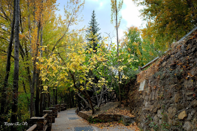 Fuente Terrones, otoño, senderismo, Jérez del Marquesado