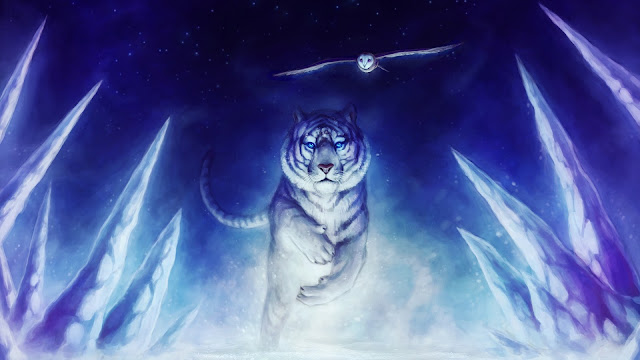 white tiger owl art artistic hd wallpaper in 1920x1080