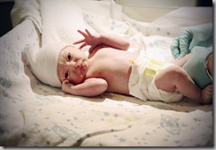 IMG_1519 copy