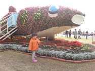 20130305_152633