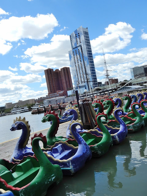 paddleboats