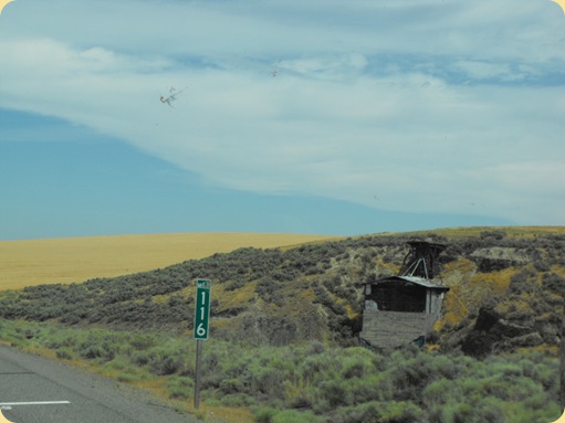 Drive to Ellensburg, WA 044