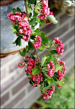 blog 8