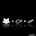 cat rule