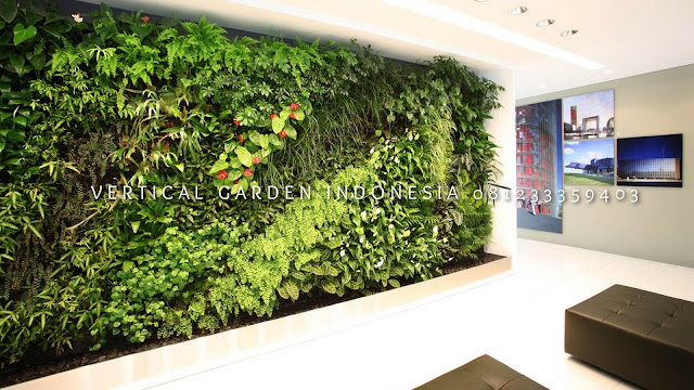 VERTICAL GARDEN INDONESIA SPESIALIS JASA PEMBUATAN VERTICAL GARDEN DI DEMAK JAWA TENGAH DAN DI SELURUH WILAYAH JAWA TENGAH DENGAN TENAGA YANG PROFESIONAL DAN DAPAT DI PERCAYA YANG SELALU MENGUTAMAKAN SEBUAH MUTU DAN KUALITAS PEMASANGAN VERTICAL GARDEN/TAMAN DINDING, JASA TUKANG TAMAN VERTICAL DEMAK JAWA TENGAH, JASA VERTICAL GARDEN DEMAK JAWA TENGAH