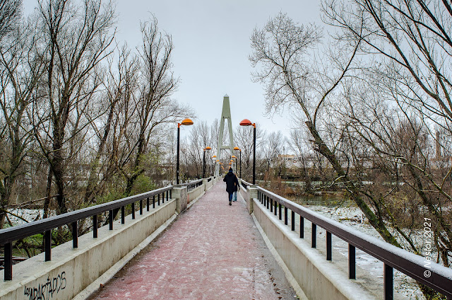 Logroño nevado enero 2021