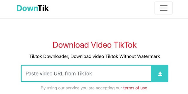 Platform Download Video TikTok Tanpa Watermark