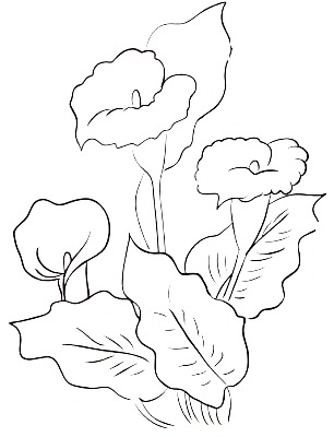 Desenho Joaninha on Riscos Para Pintura De Flor Copo De Leite