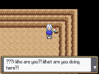 Pokemon Snow Warning Screenshot 04