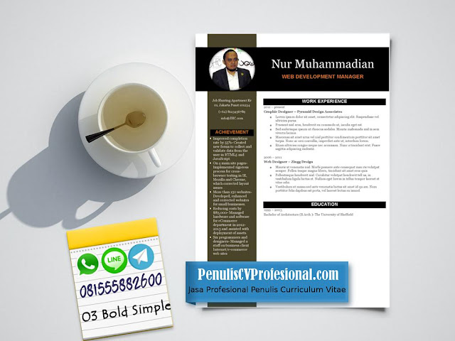 Desain CV Profesional