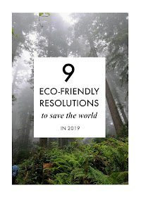 Nine Eco-Friendly Resolutions to Save the World in 2019