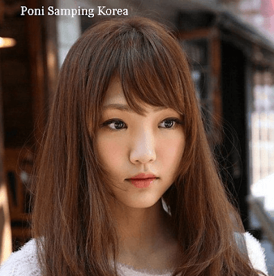 Poni Samping Korea