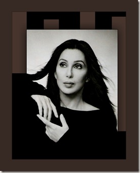 cher 293