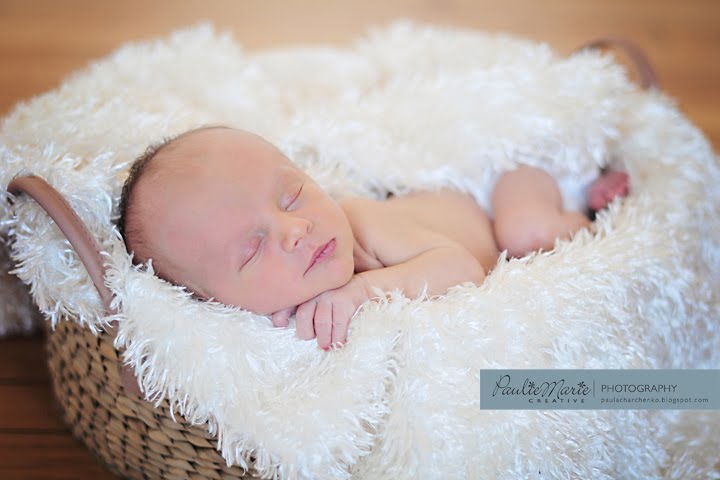 Minneapolis Newborn Photographer