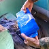 Gefron apreende quase 10 kg de cocaína e ‘skunk’ que seriam enviadas para Rio Branco