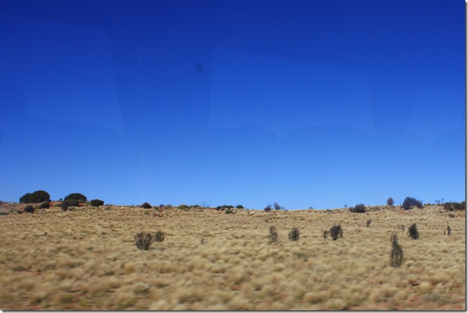 Copy of IMG_0483